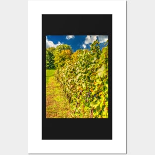 Vineyard-autumn painting, oil painting, nature Posters and Art